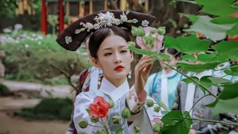 顶流小花